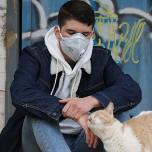 고양이 산책 논란 중 전염병 위험 관련 사진